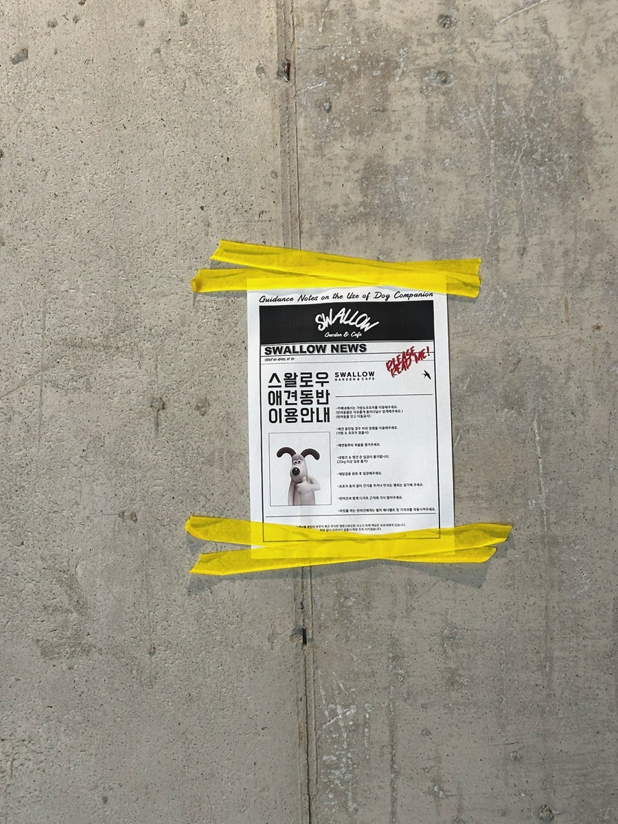 스왈로우 사진 6
