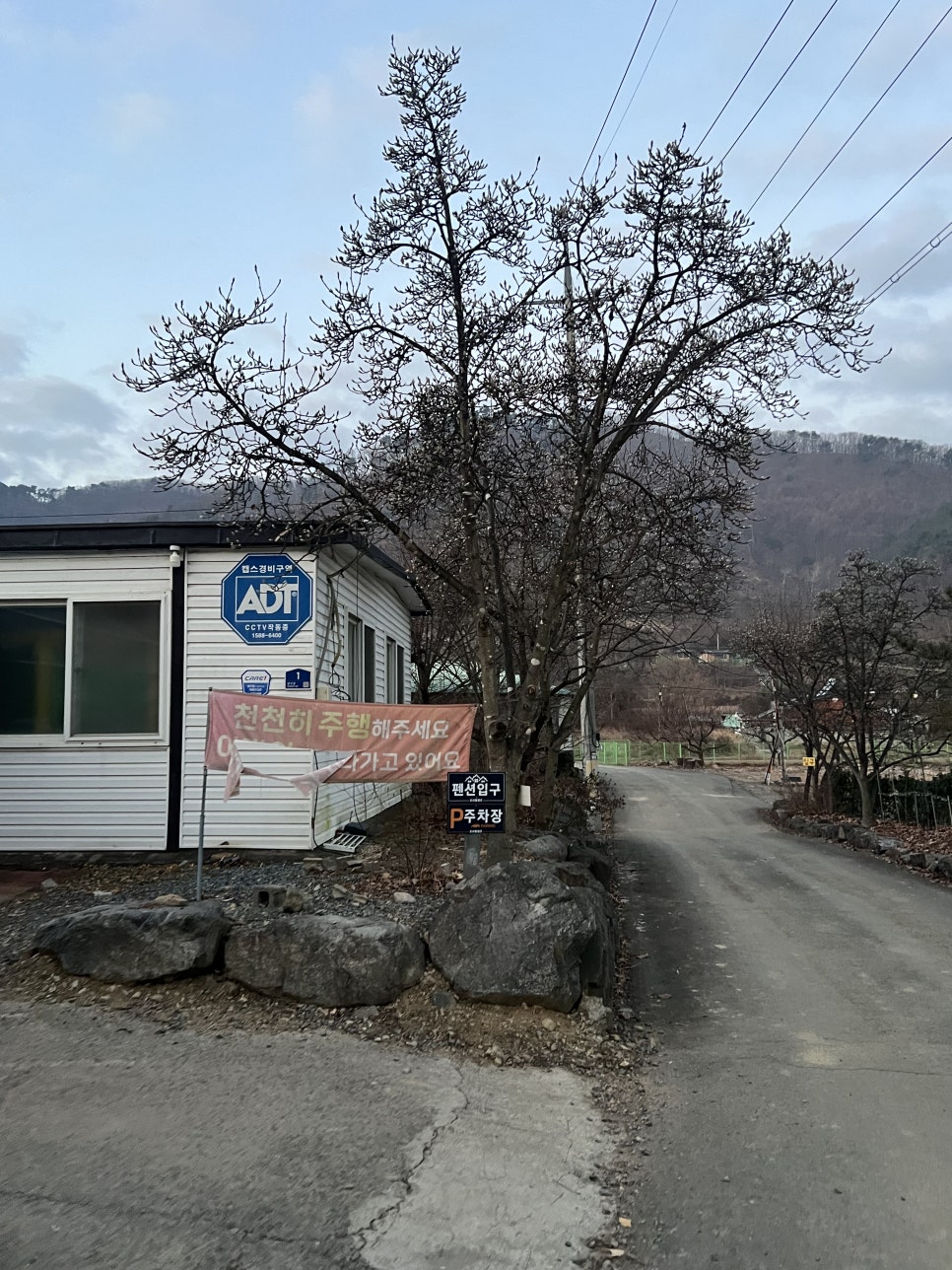트리팜캠프 사진 2