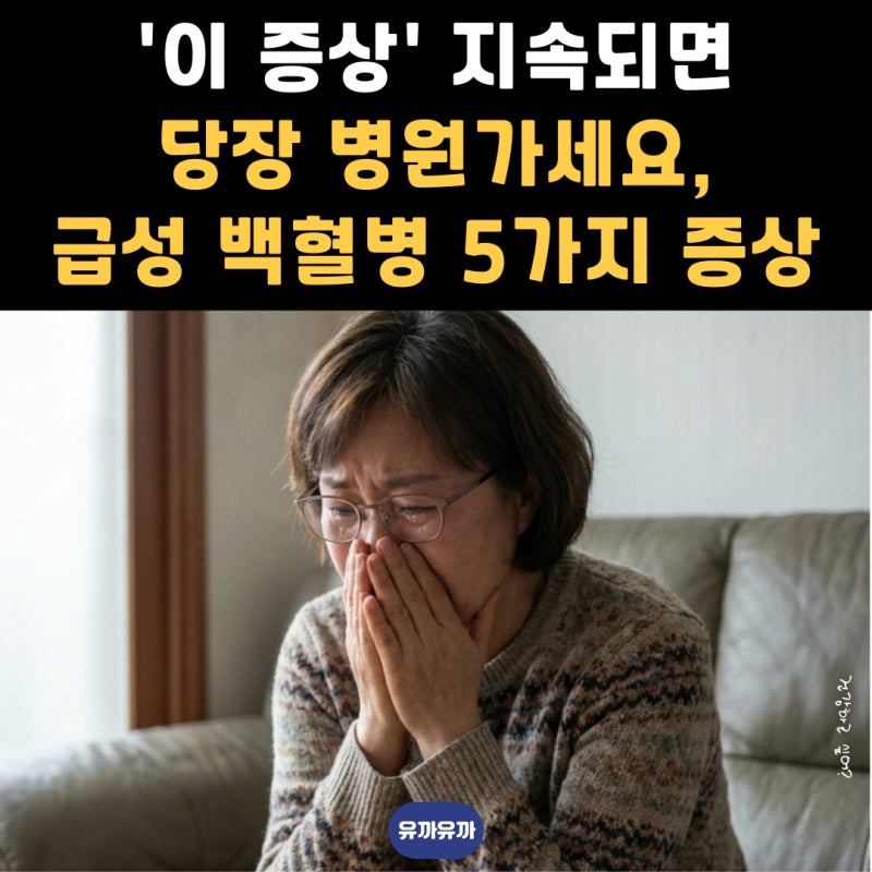 '이 증상' 지속되면 당장 병원가세요, 급성 백혈병 초기증상 5가지.