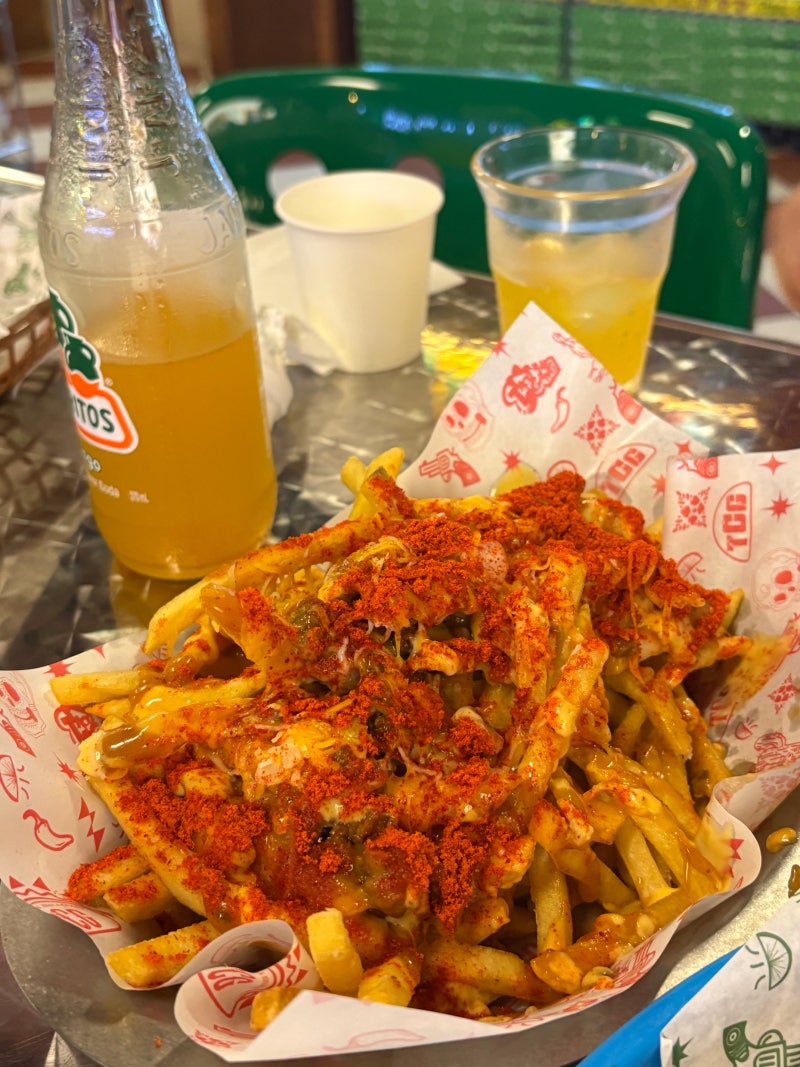 세종 수목원 근처 '타코갱' 멕시코 음식 맛집 방문한 솔직 후기