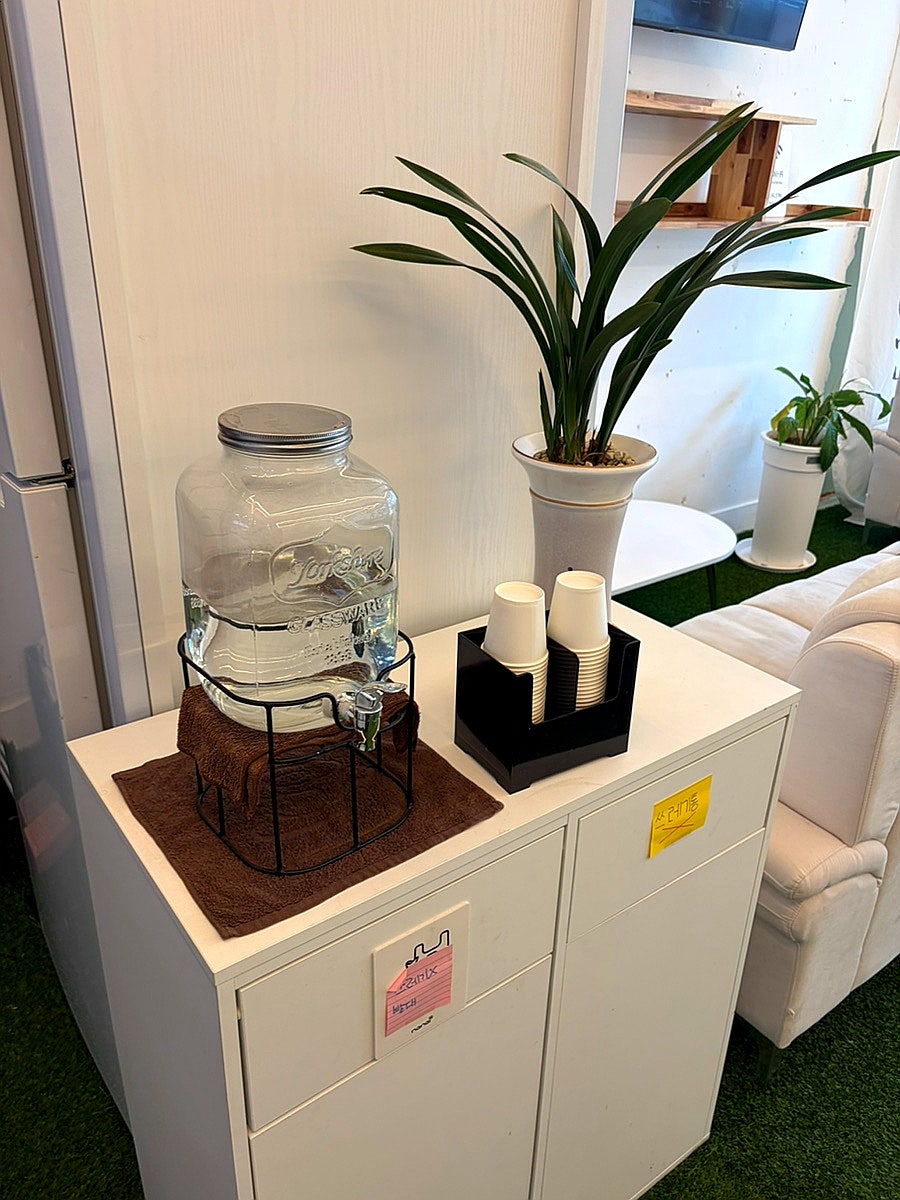 할렘 사진 6
