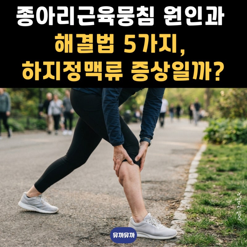 종아리근육뭉침 원인과 해결법 5가지, 하지정맥류 증상일까?