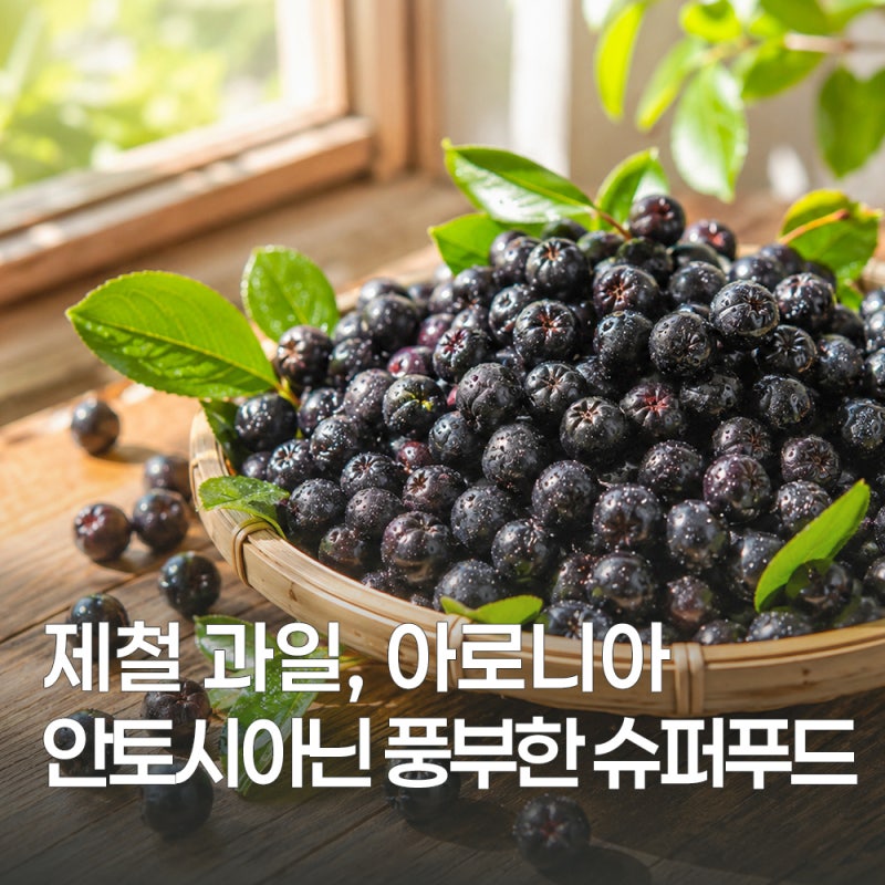 아로니아 효능과 칼로리 먹는 법 보관방법 정리
