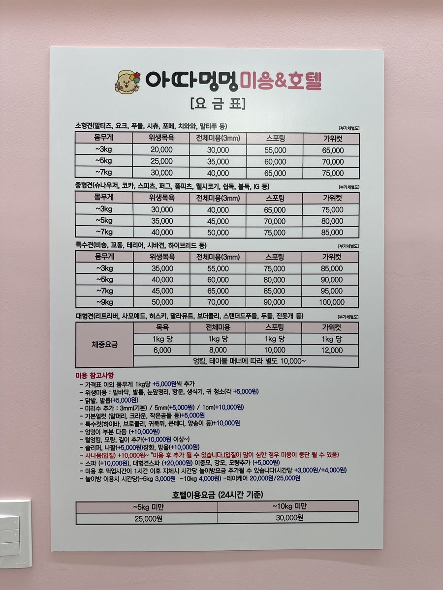 아따멍멍 사진 3