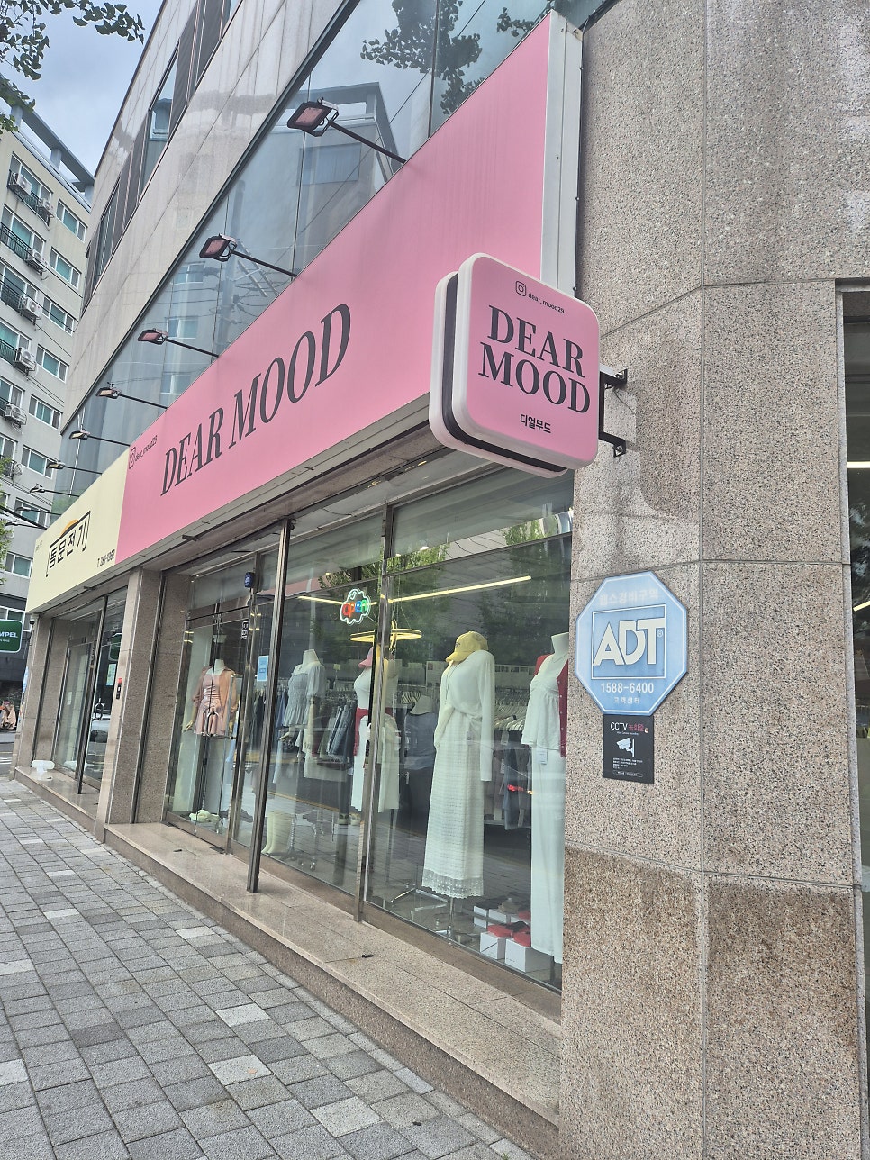 디얼 사진 1