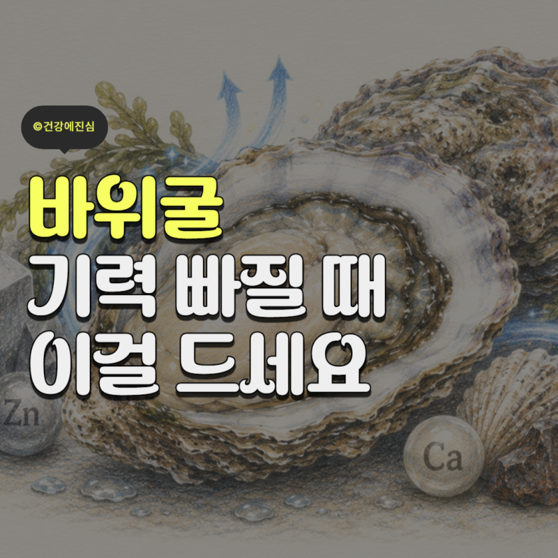 바위굴 제철 효능 4가지와 안전하게 먹는법 주의사항