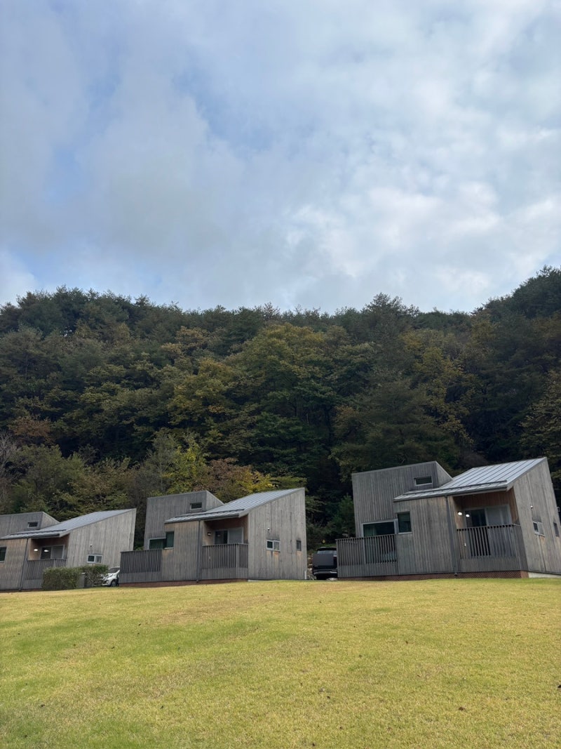 인제 갯골자연휴양림 숲속의집 B202 4인실 후기 (대기 예약, 밤에 별 보이는 숙소 ✨)