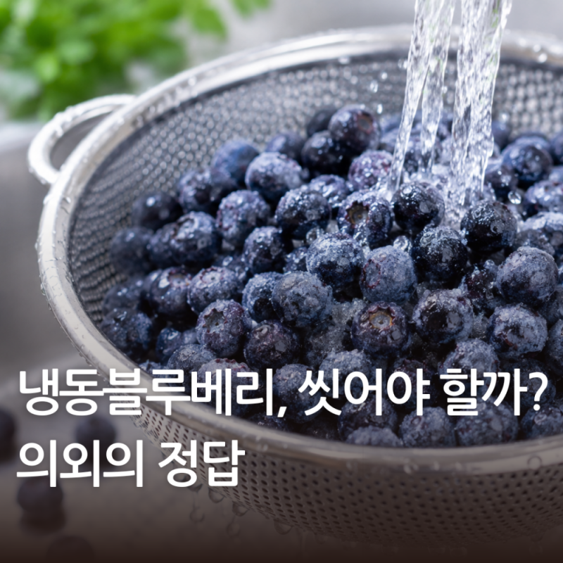 냉동블루베리 세척 해야할까? 의외의 정답