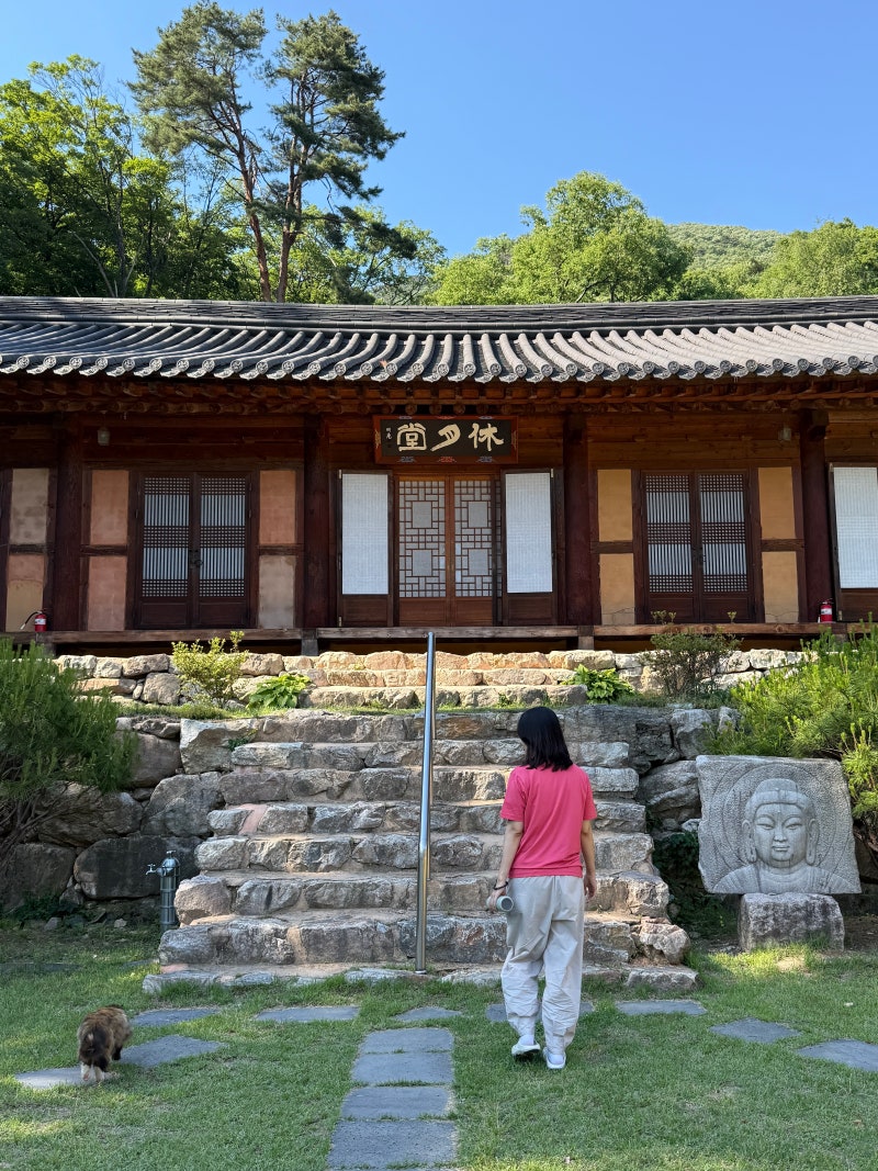 楊平龍門寺體驗型寺院寄宿心得・餐點・時間表