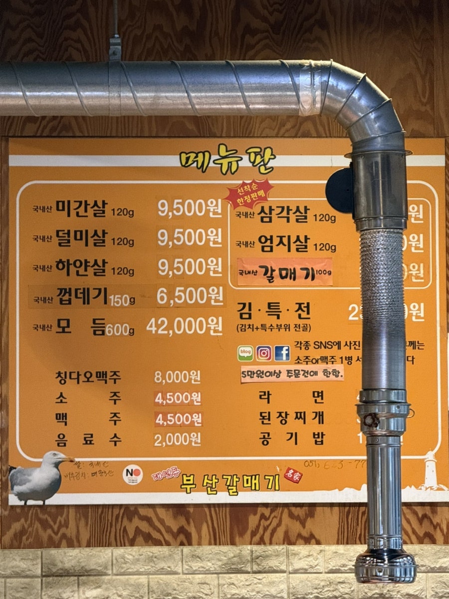 원조부산갈매기 사진 1