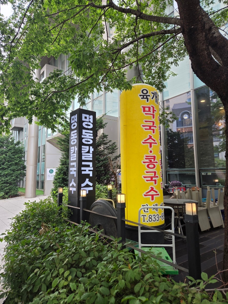 명동칼국수 사진 2