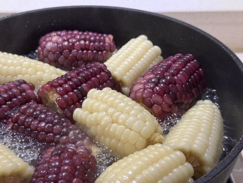 옥수수 맛있게 찌는법 소금 설탕 비율과 옥수수 삶는 시간까지 한 번에 정리