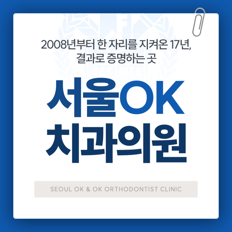 치아보험 스케일링 무료, 정말 비용 없이 받을 수 있나요?