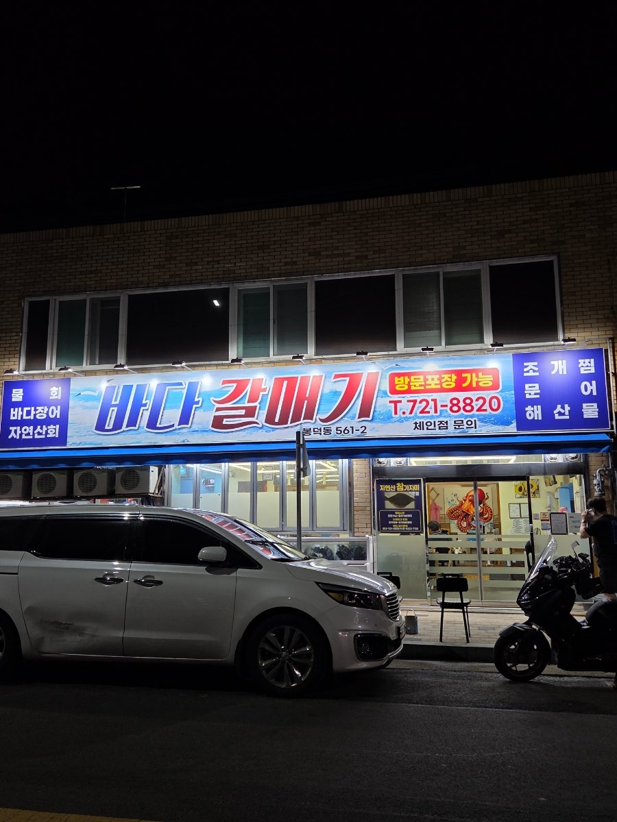 바다갈매기 사진 1