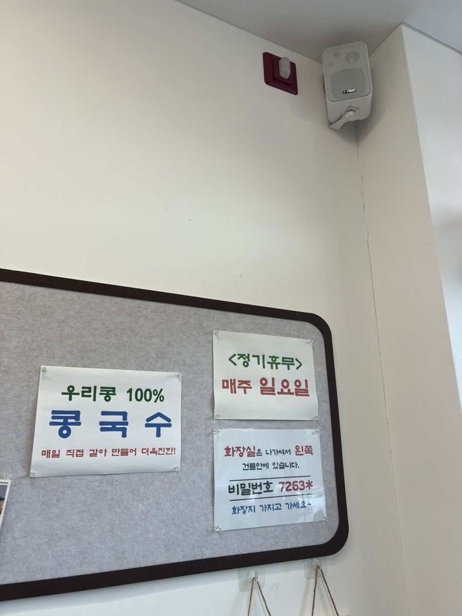 노랑태담다 사진 3