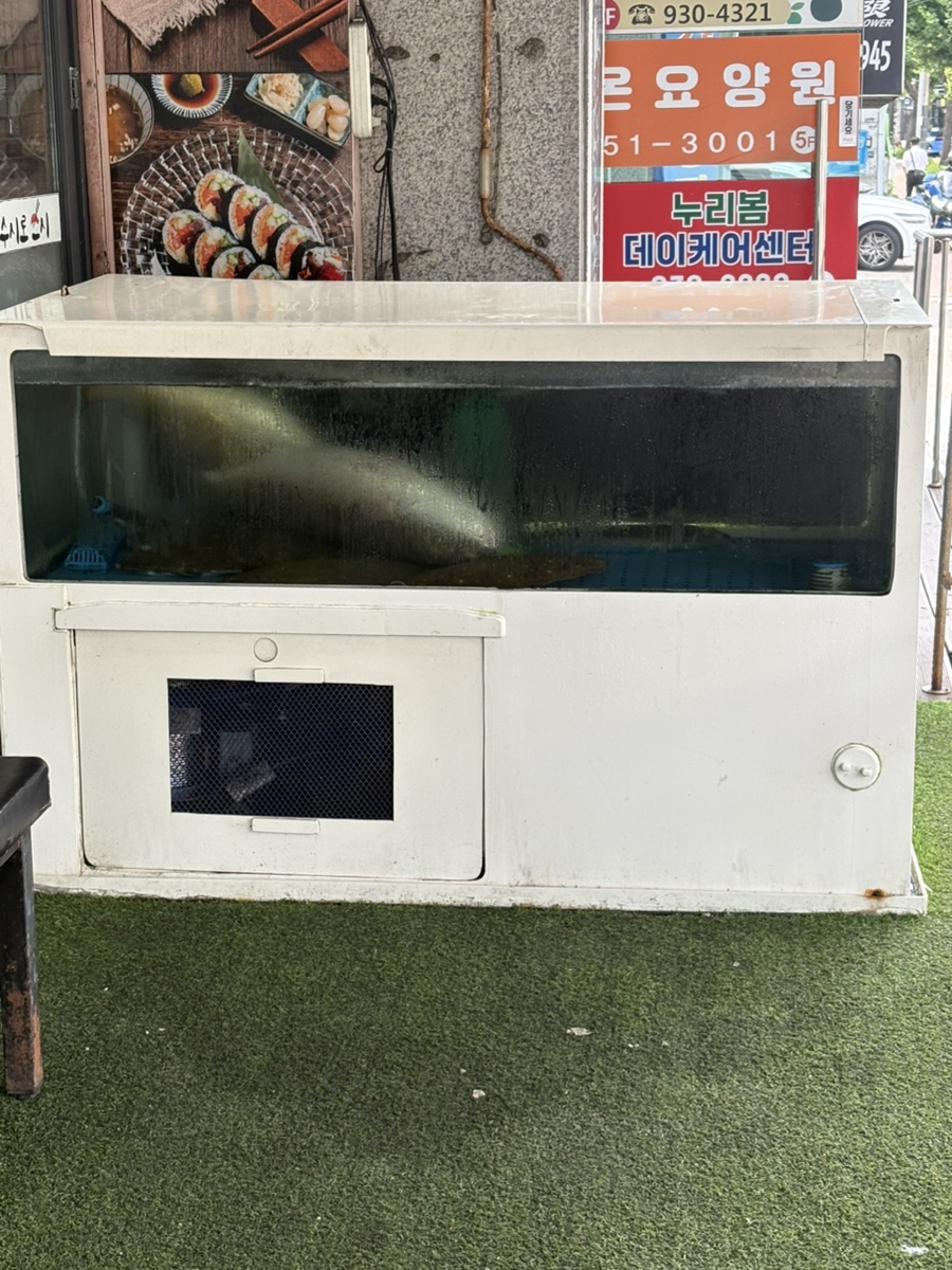 수시로스시 사진 4