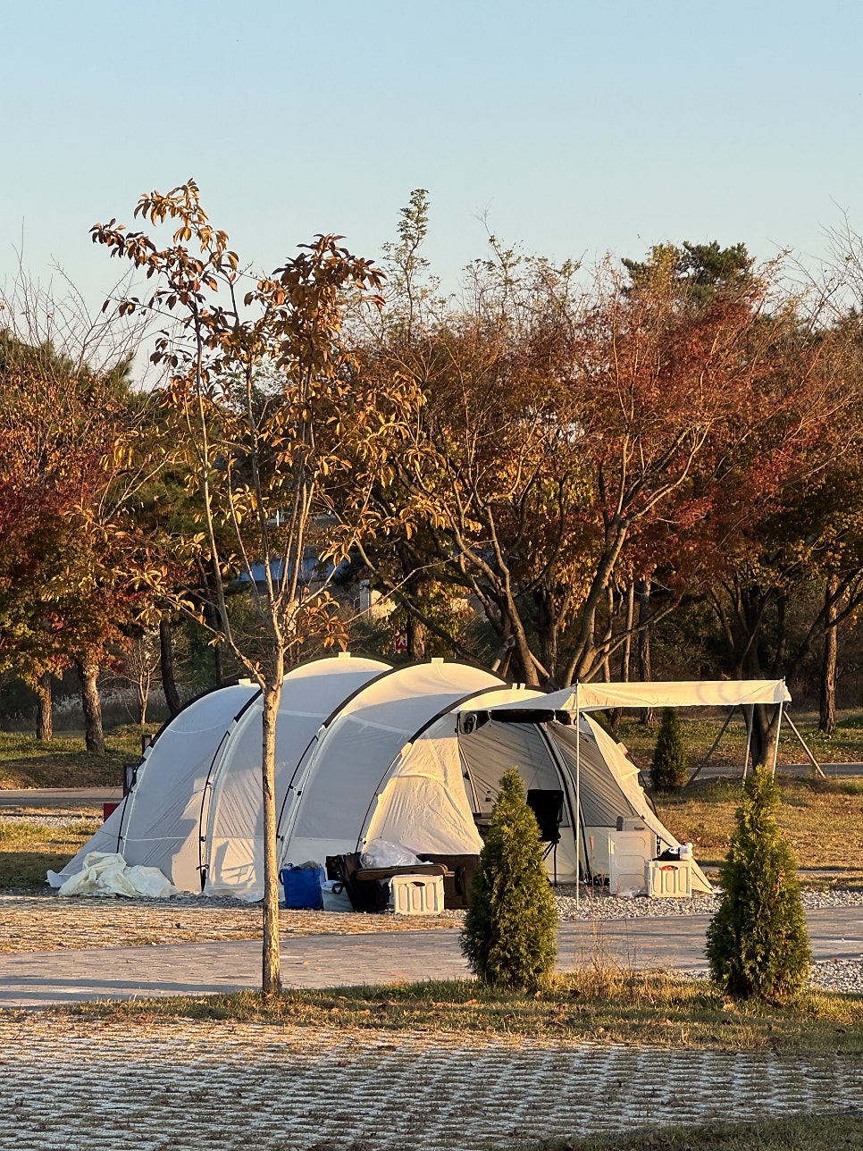 충주 목계솔밭캠핑장 사진 1