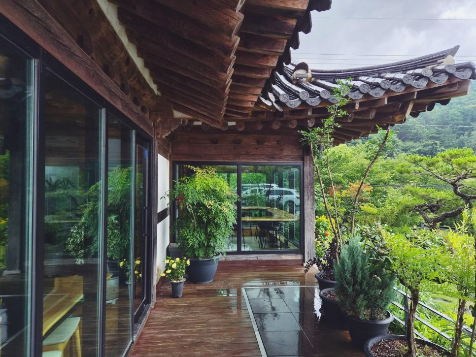 연리지 사진 6