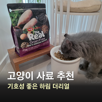 고양이 사료 추천 기호성 좋은 하림펫푸드 더리얼 캣 그레인프리 크런치 닭고기 어덜트, 건....