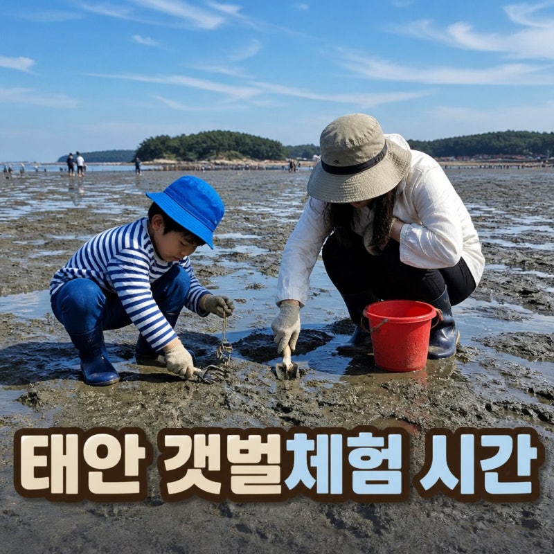 태안 물때표 보는법과 서해 갯벌체험 시간 총정리
