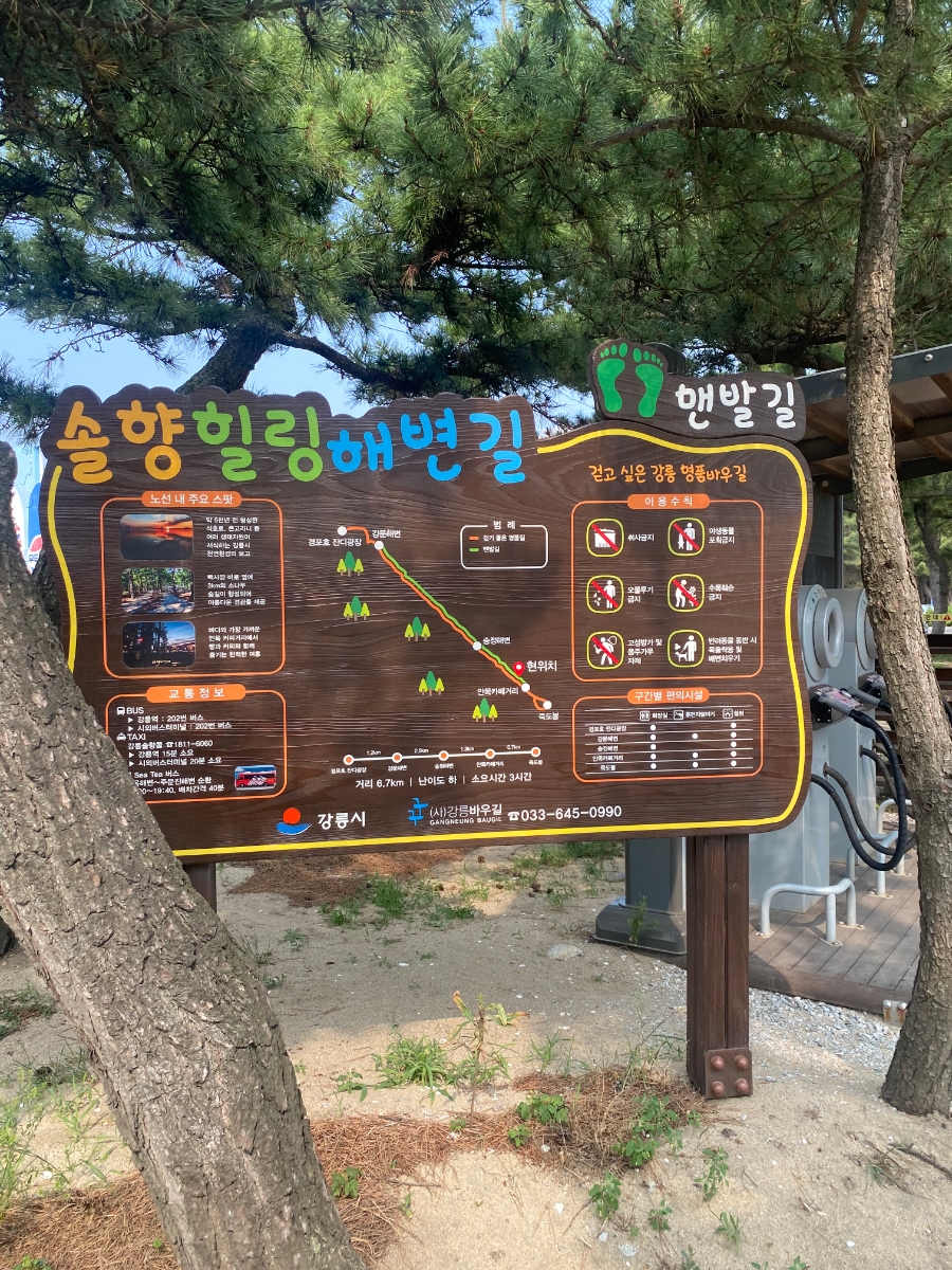 곽가네시오야끼 사진 5