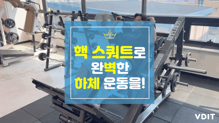 [하체 비만 탈출] 은행동 헬스장 짐캐슬에서 PT 없이 탄탄한 하체를 만들어보자!_뉴텍 핵 스쿼....