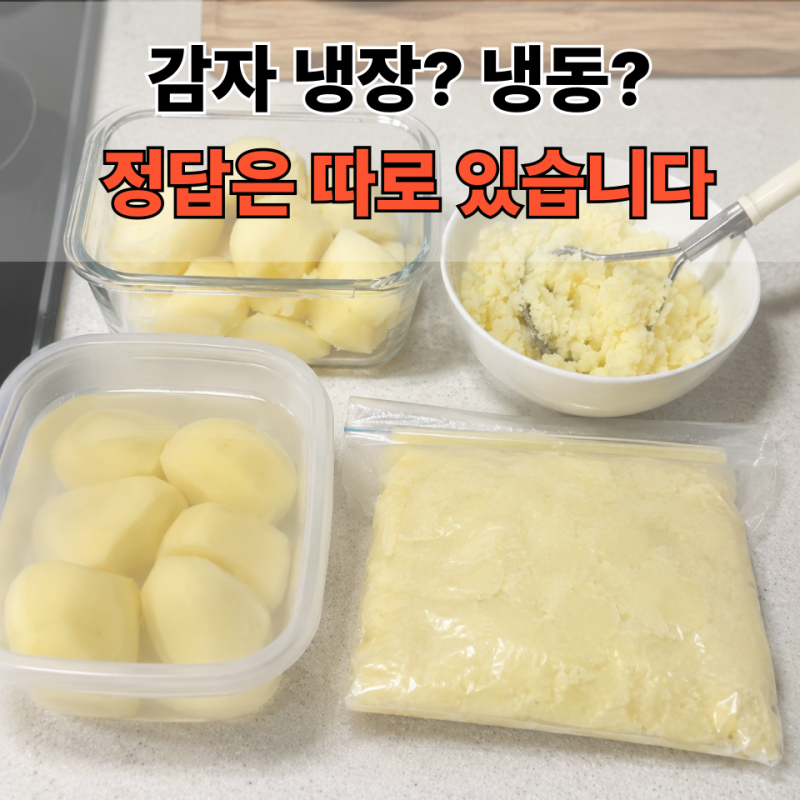 깐감자 보관방법｜찐감자 보관방법부터 얼린감자 활용법까지 총정리