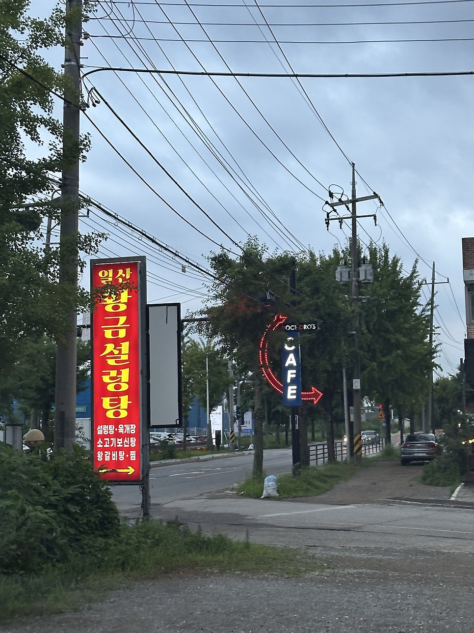 일산황금설렁탕 사진 2