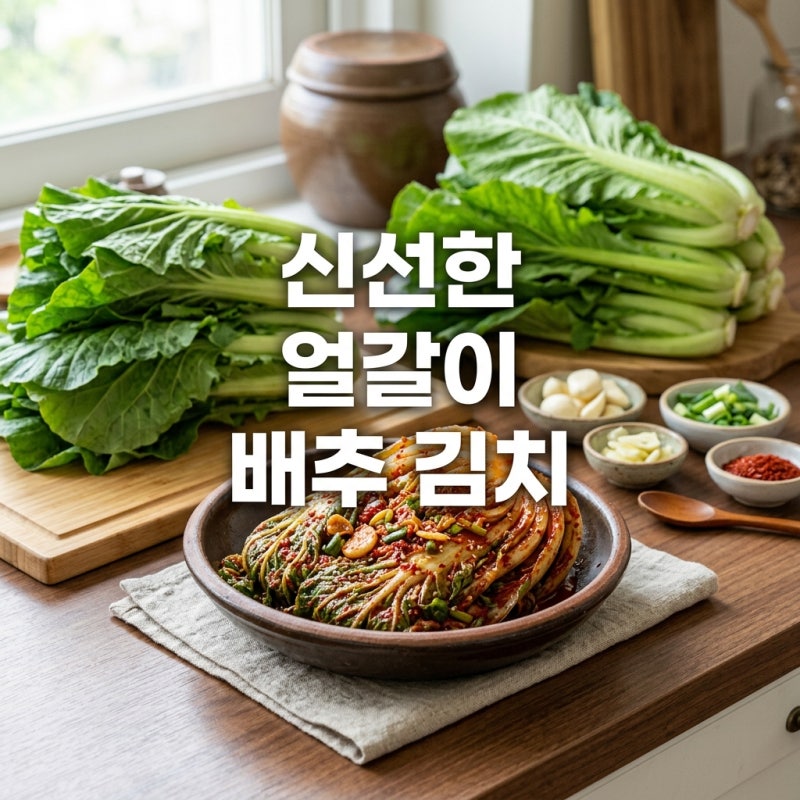 얼갈이 배추김치 레시피, 초보자도 실패 없는 황금비율!