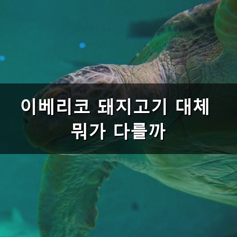 이베리코 돼지고기 맛있는 이유와 부위별 특징 알고 먹기