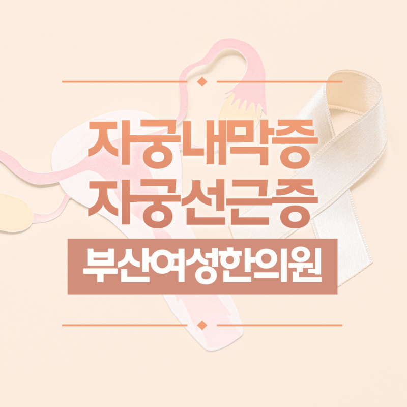 자궁내막증과 자궁선근증, 부산 서면에서 한방치료를 받을 수 있는 여성 한의원 추천해 주세....