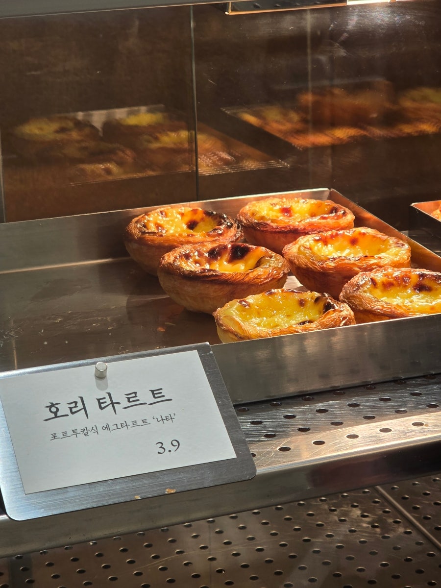 호리가 사진 3