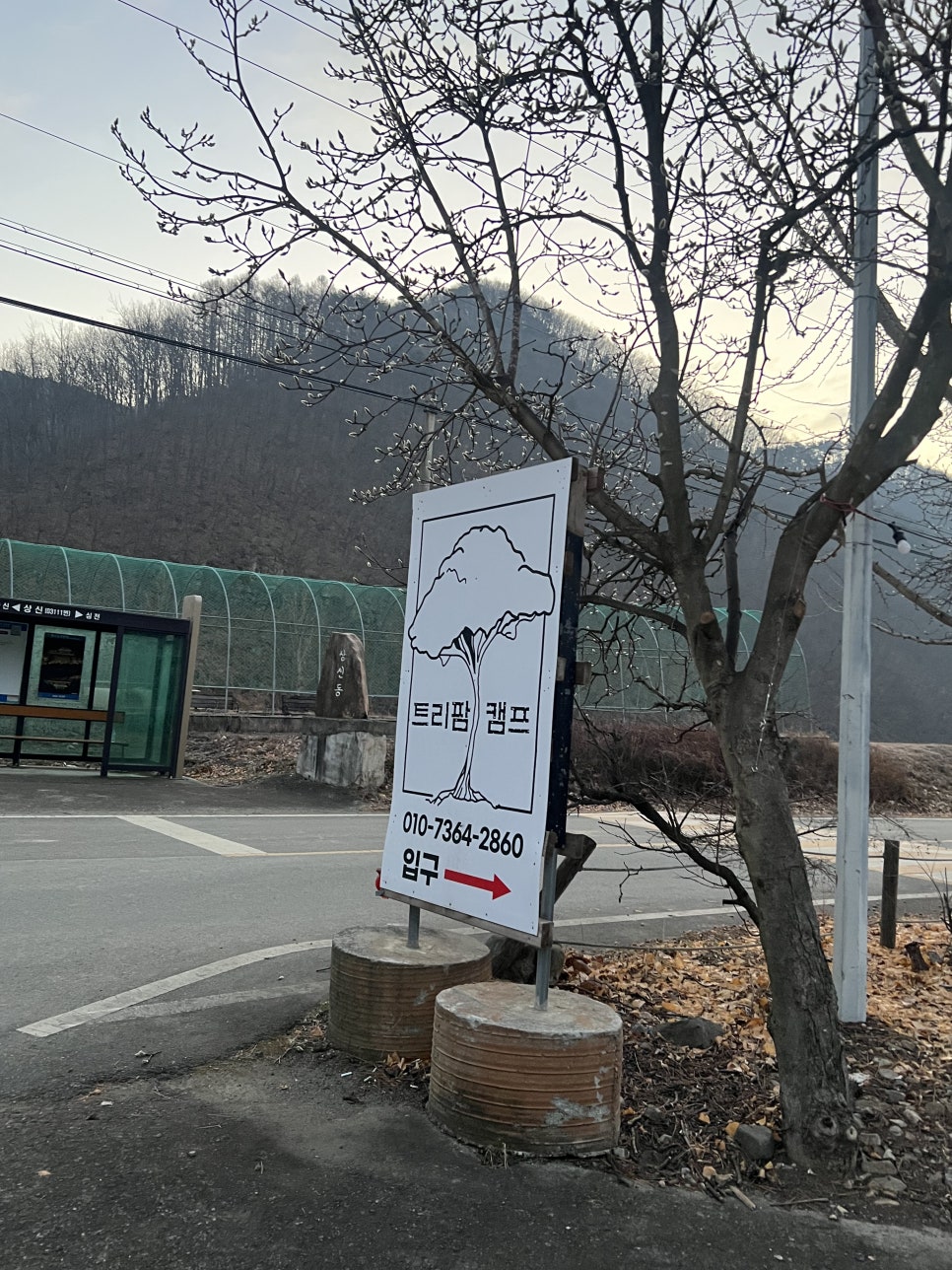 트리팜캠프 사진 1
