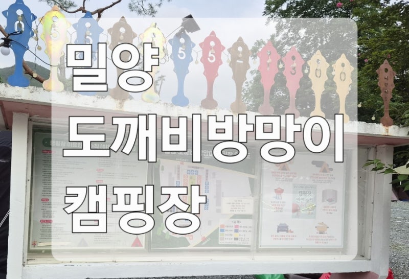 밀양 도깨비방망이캠핑장 2박 3일 솔직후기｜여름 수영장 있는 캠핑장 재방문 예정!
