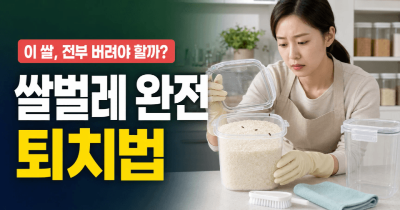 쌀벌레 생기는 이유와 없애는 방법｜쌀통 청소·재발 방지까지
