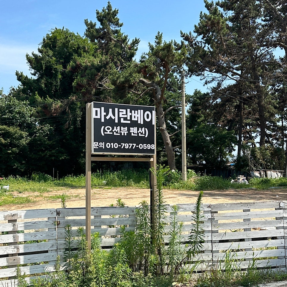 마시란 베이 사진 4