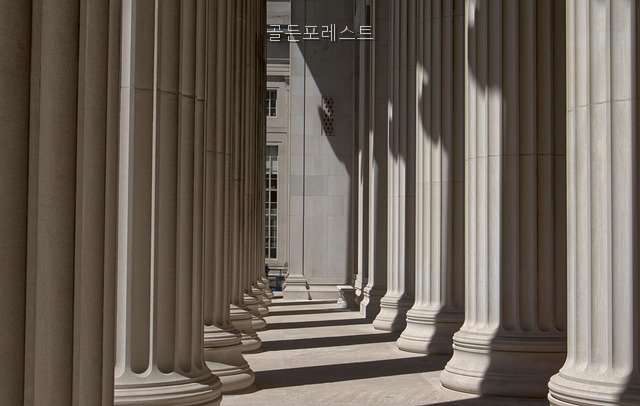 포레스트 사진 4