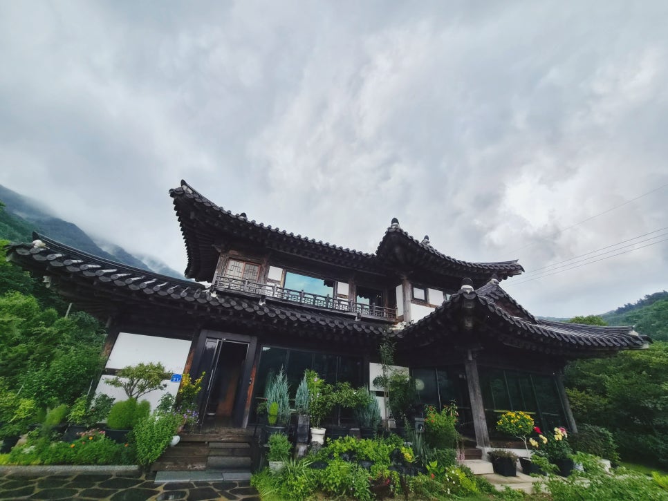 연리지 사진 3