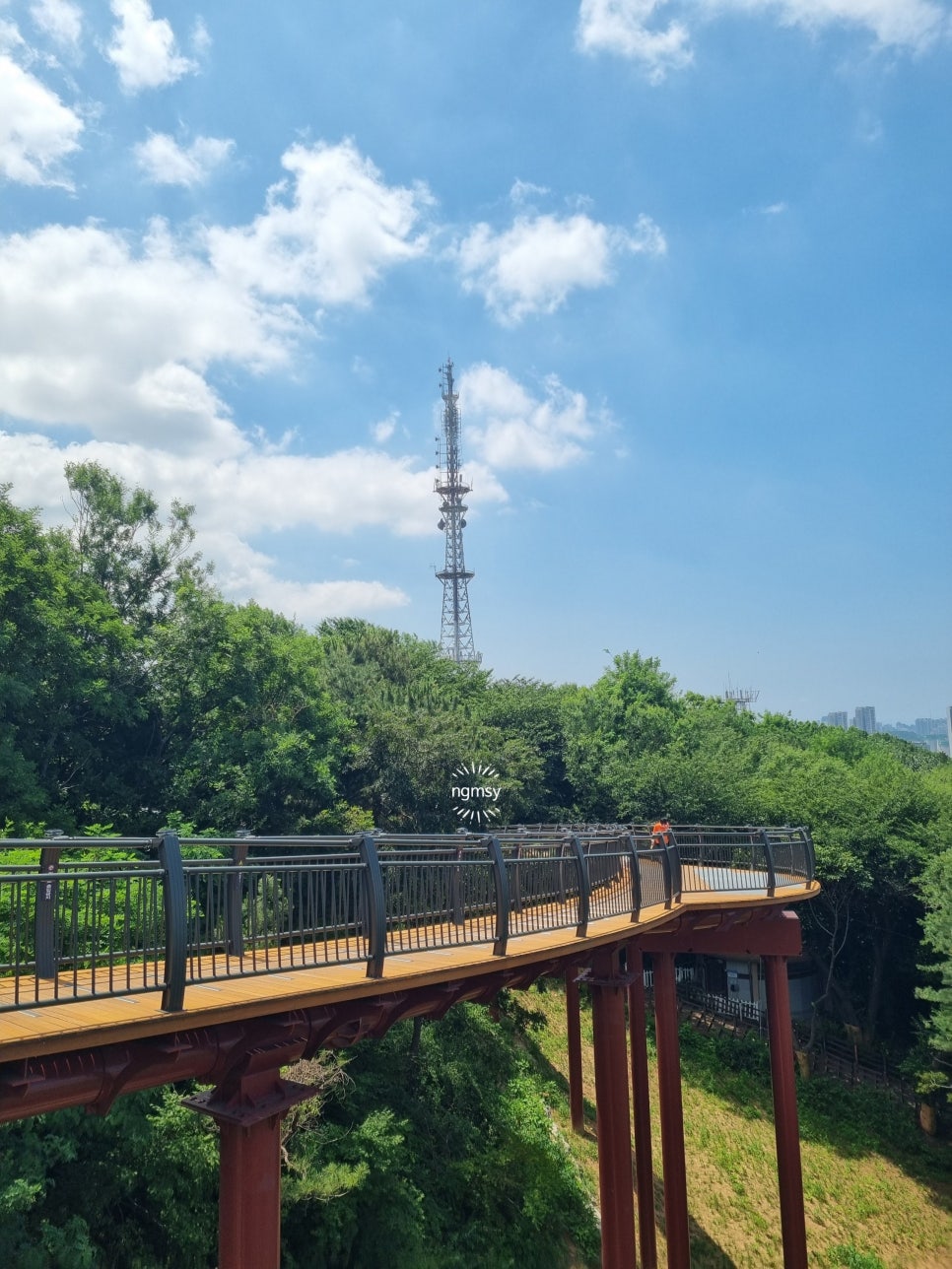 요람 사진 6
