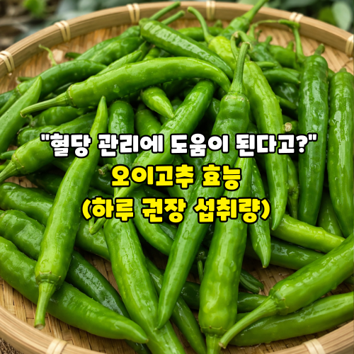 의외로 혈당관리에 도움되는 음식! 오이고추 효능