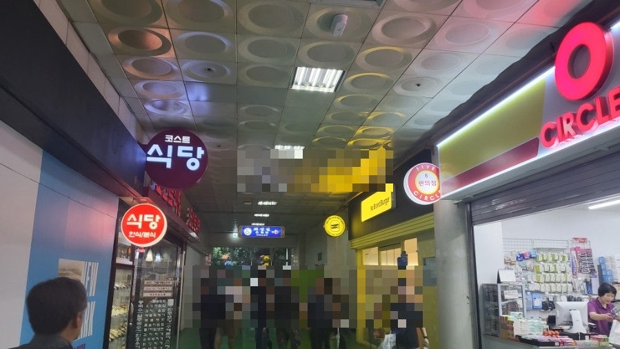 양구선사박물관 사진 2