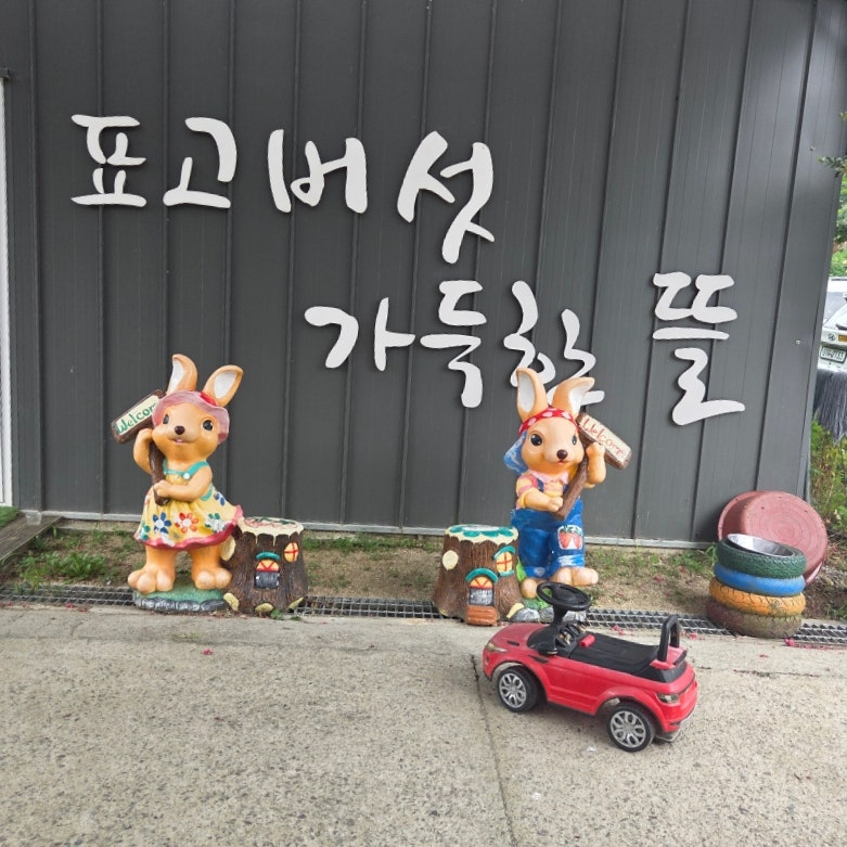 표고버섯 따기 체험부터 피자 만들기, 물놀이까지 창녕 [표고버섯 가득한 뜰]