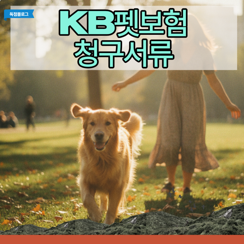 KB펫보험 청구서류 누락 없이 한 번에 통과하기 사진 한 장 잘못 찍어 지급 거절?