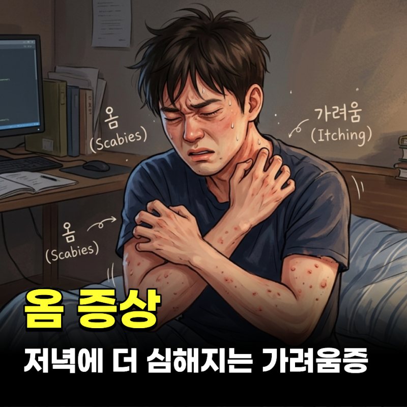 저녁에 더 심해져요.. 옴 증상 위험성 옴 치료법