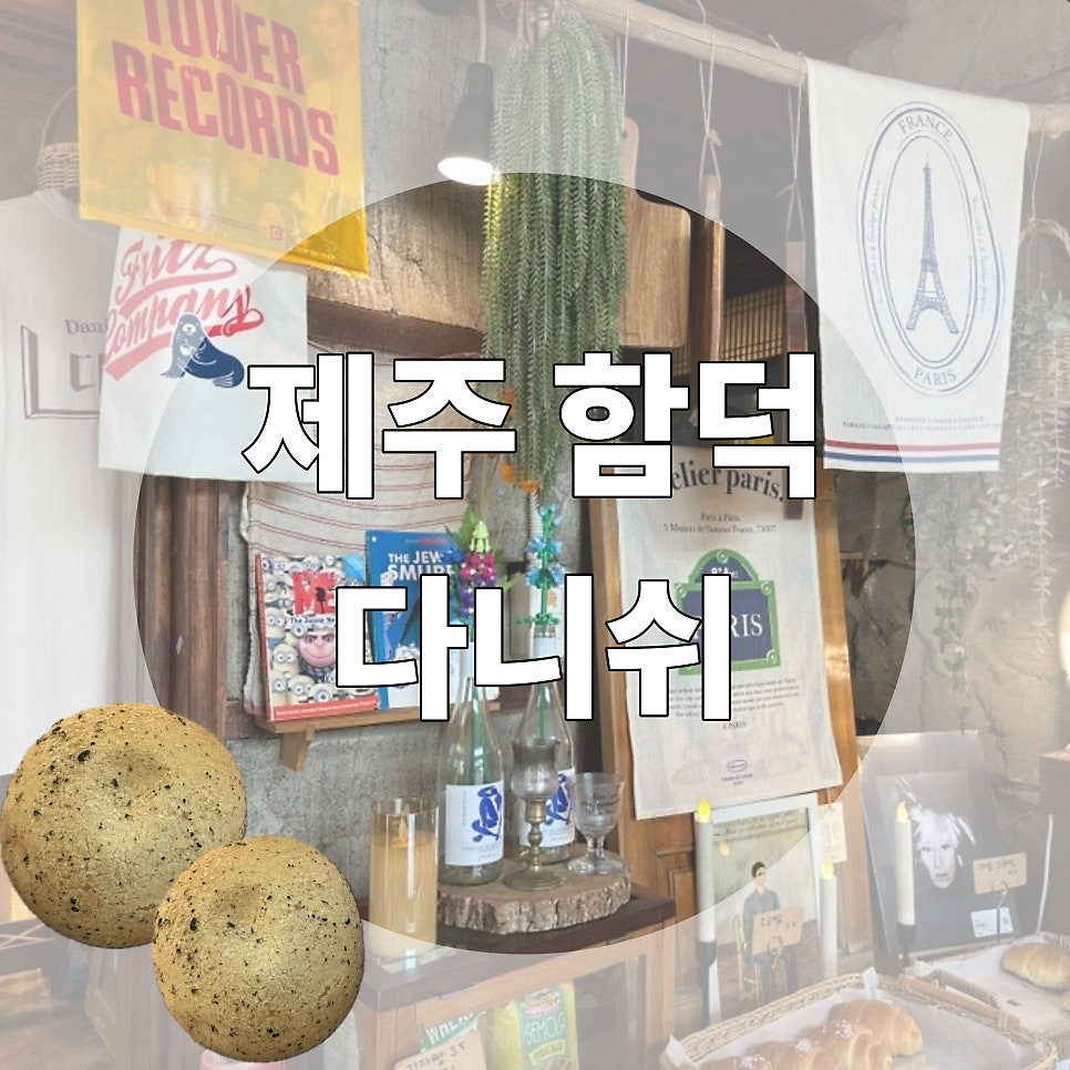 다니쉬 사진 1