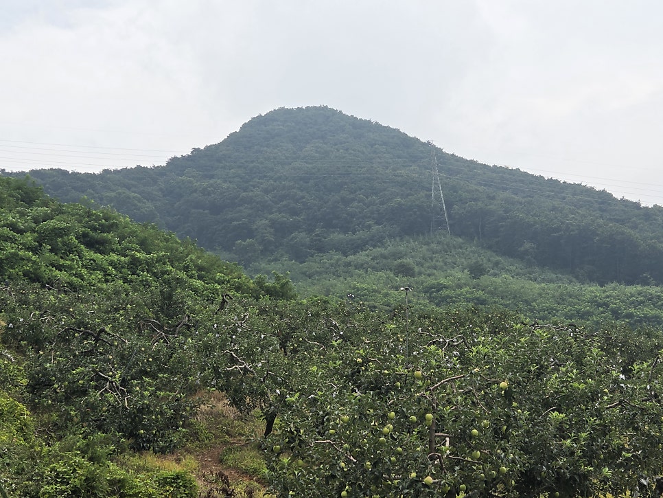 지등산 사진 3