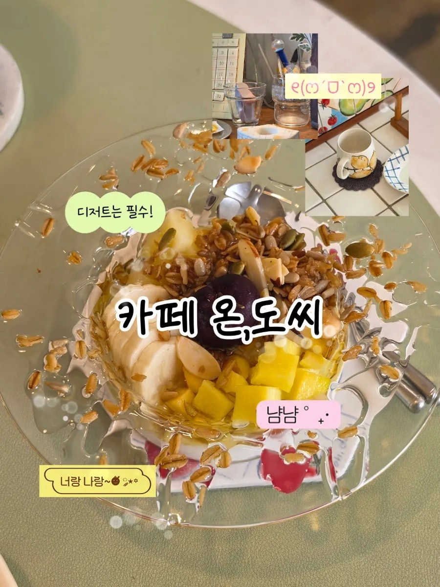 목향 사진 1