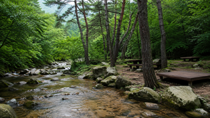 오도산 야영장 사진 5
