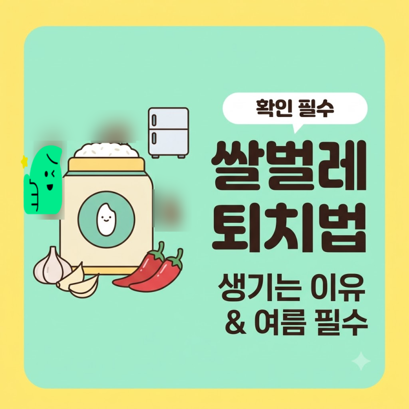 쌀벌레 먹은 쌀 버려야 할까? 올바른 세척 꿀팁