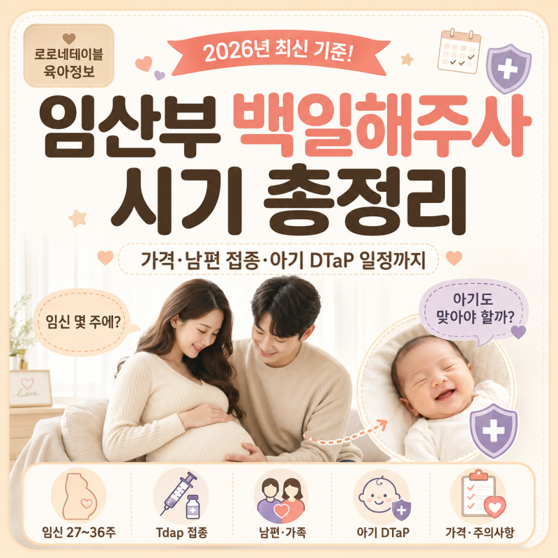 임산부 백일해주사 시기·가격 총정리! 남편 접종과 아기 DTaP 일정까지